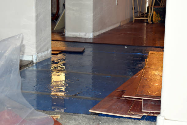 Professional Basement Flood Cleanup technician working in Bells, TX